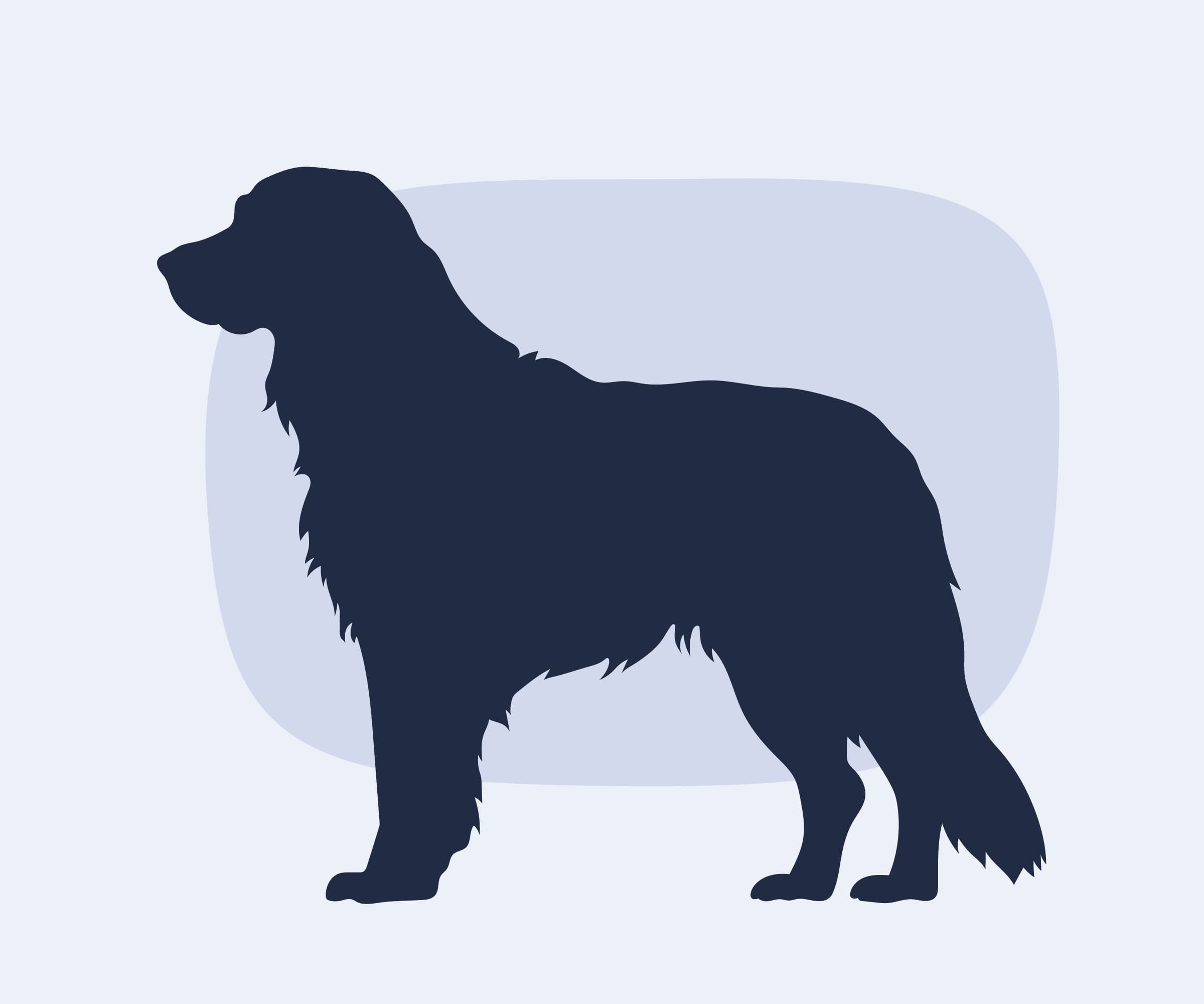 Cambridge Dogs app (SVG map with curved labels)